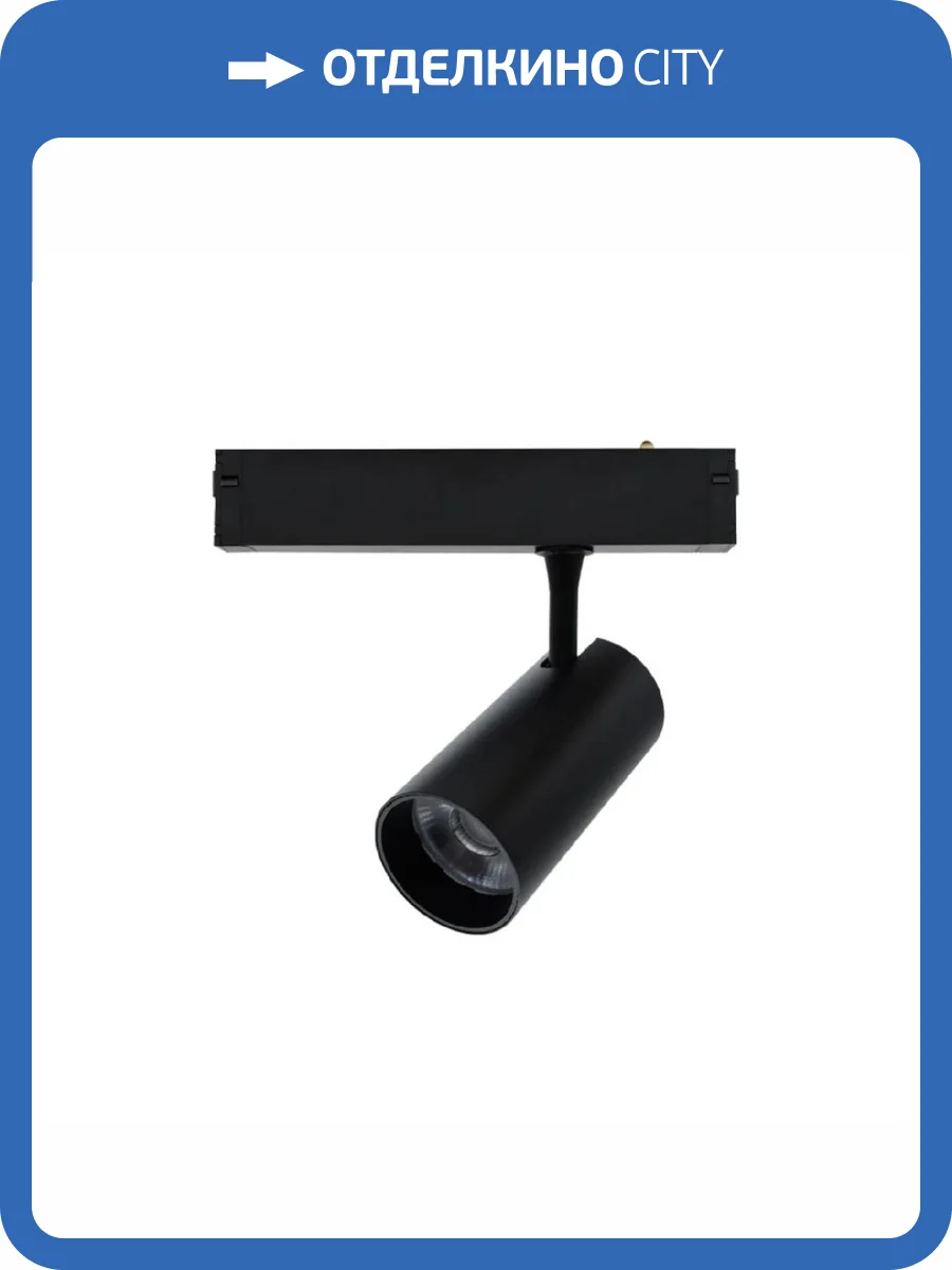 Трековый светильник Aployt APL.0205.00.20 фото 5