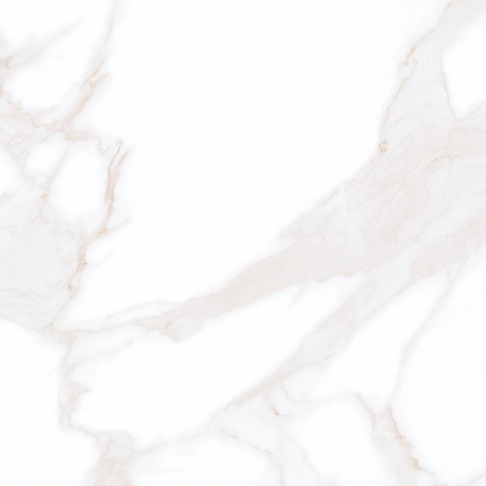 Керамогранит Wan Sheng Porcelain Tile AC-M6001 Матовый 60x60 фото 3