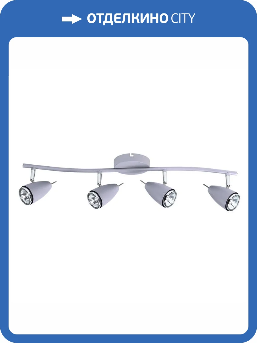 Светильник потолочный Arte Lamp Regista A1966PL-4GY фото 2