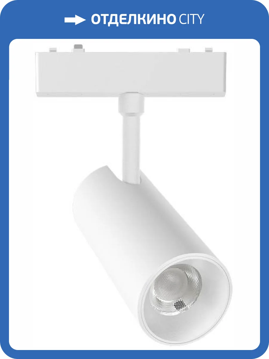 Трековый светильник Aployt APL.0116.10.10 фото 2