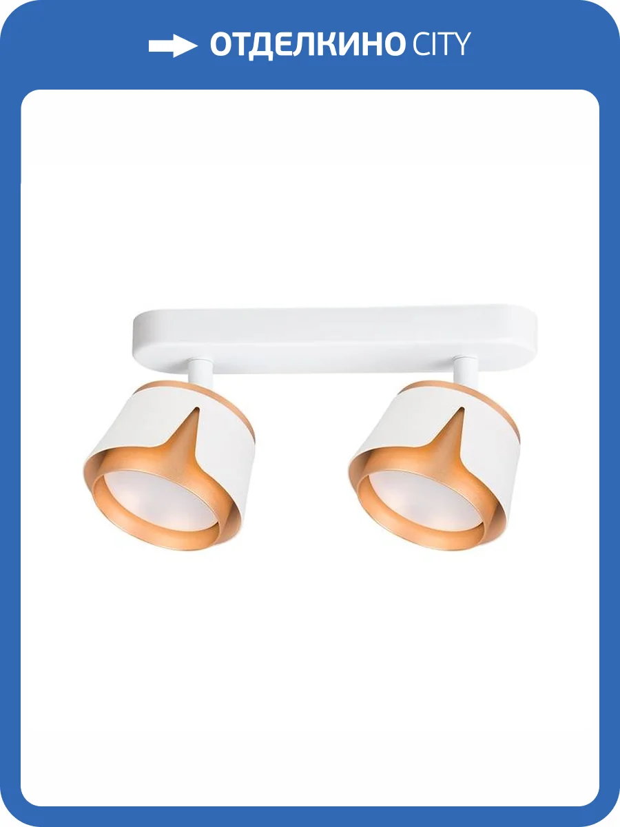 Светильник потолочный Arte Lamp Amaks A8028PL-2WH фото 2