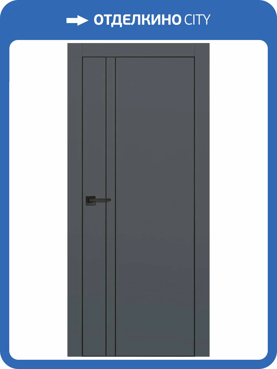 Межкомнатная дверь Profilo Porte PX-20 полотно Графит матовый, кромка AL черная с 4-х сторон, молдинг черный 5 мм 900x2000 фото 2