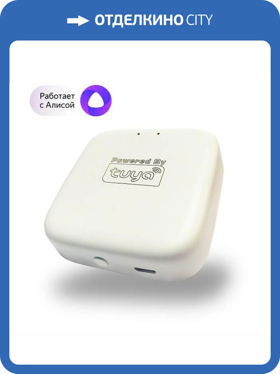 Wi-Fi конвертер Denkirs Smart DK7400-WF фото 2