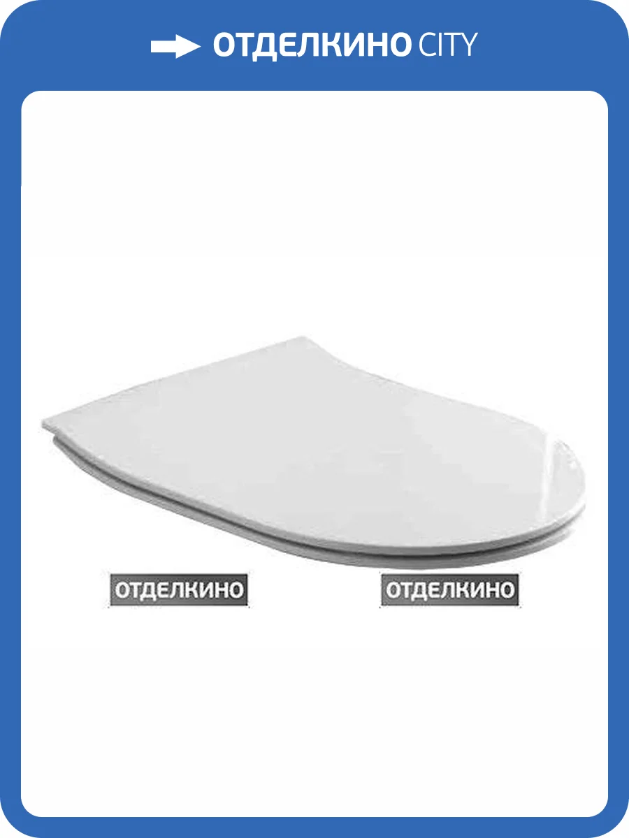 Крышка-сиденье Olympia Clear C9CL011 с микролифтом, петли хром фото 2