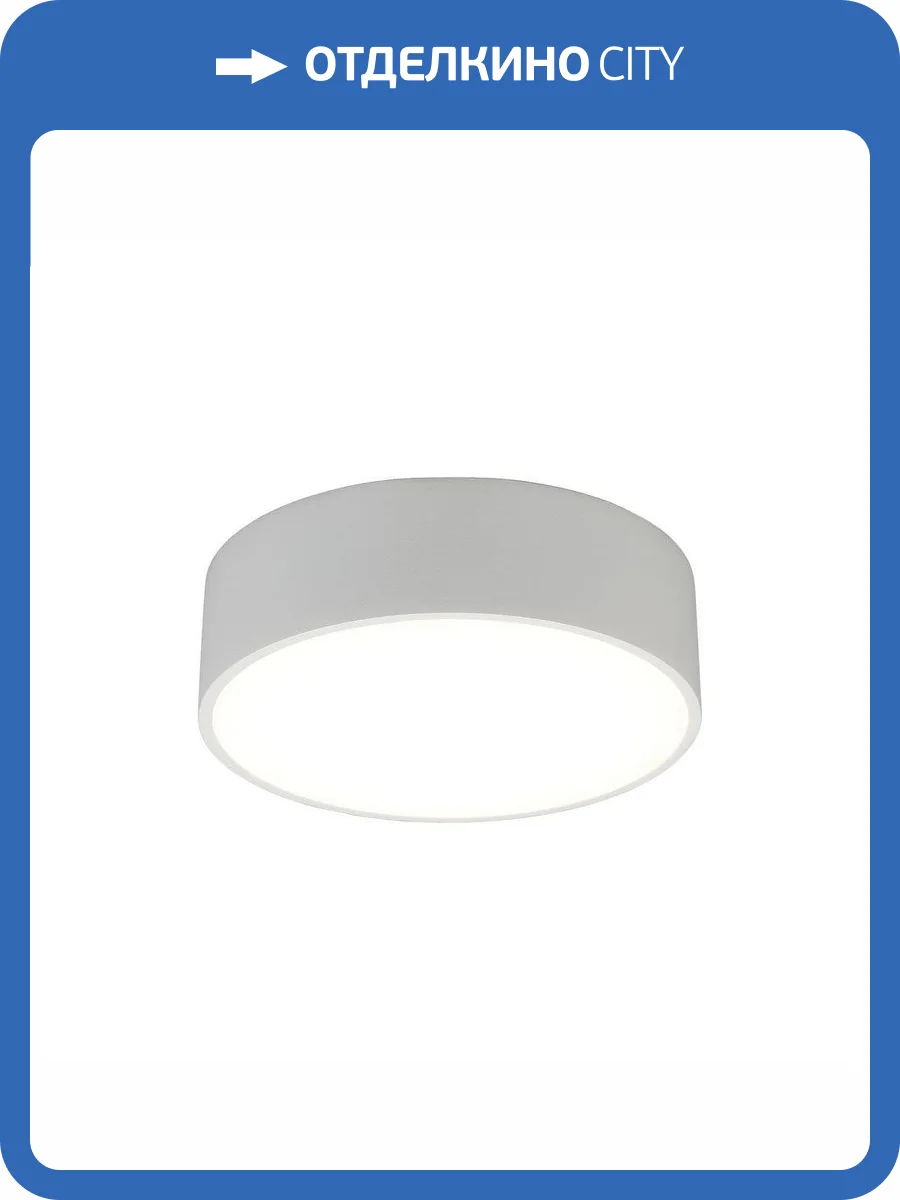 Потолочный светодиодный светильник Aployt Evon APL.0114.09.12 фото 2