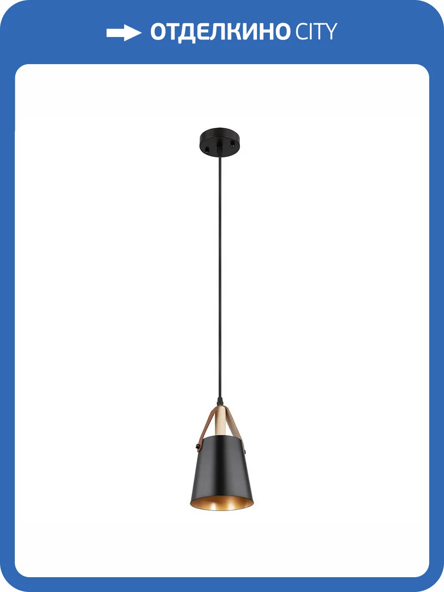 Подвесной светильник Arte Lamp THOMAS A7032SP-1BK фото 2