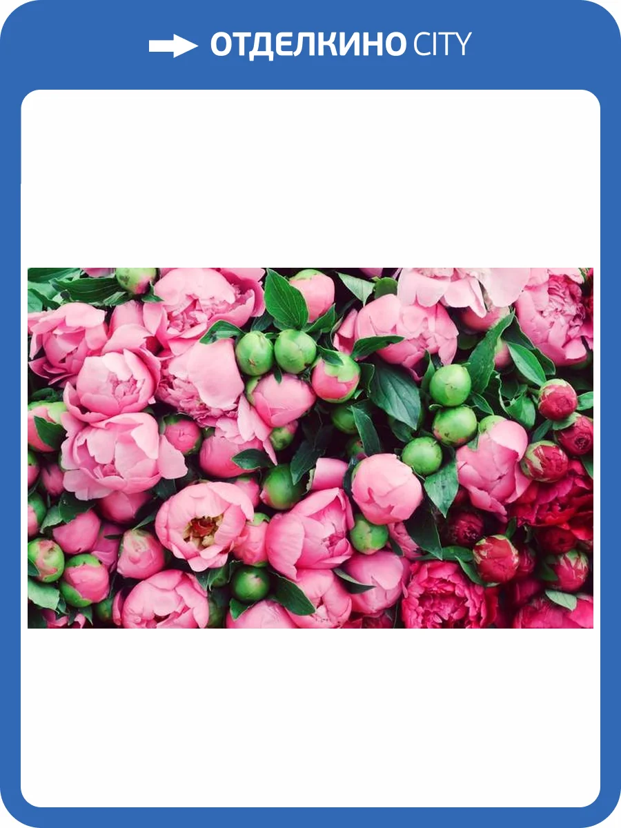 3D Фотообои Artegrafico «Бутоны пионов» PN-006 акварель фото 2