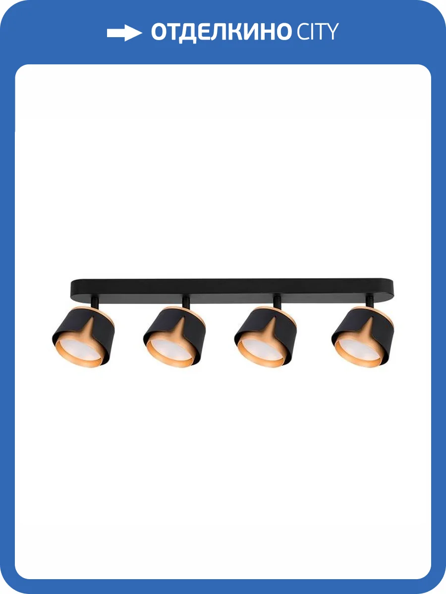 Светильник потолочный Arte Lamp Amaks A8028PL-4BK фото 2