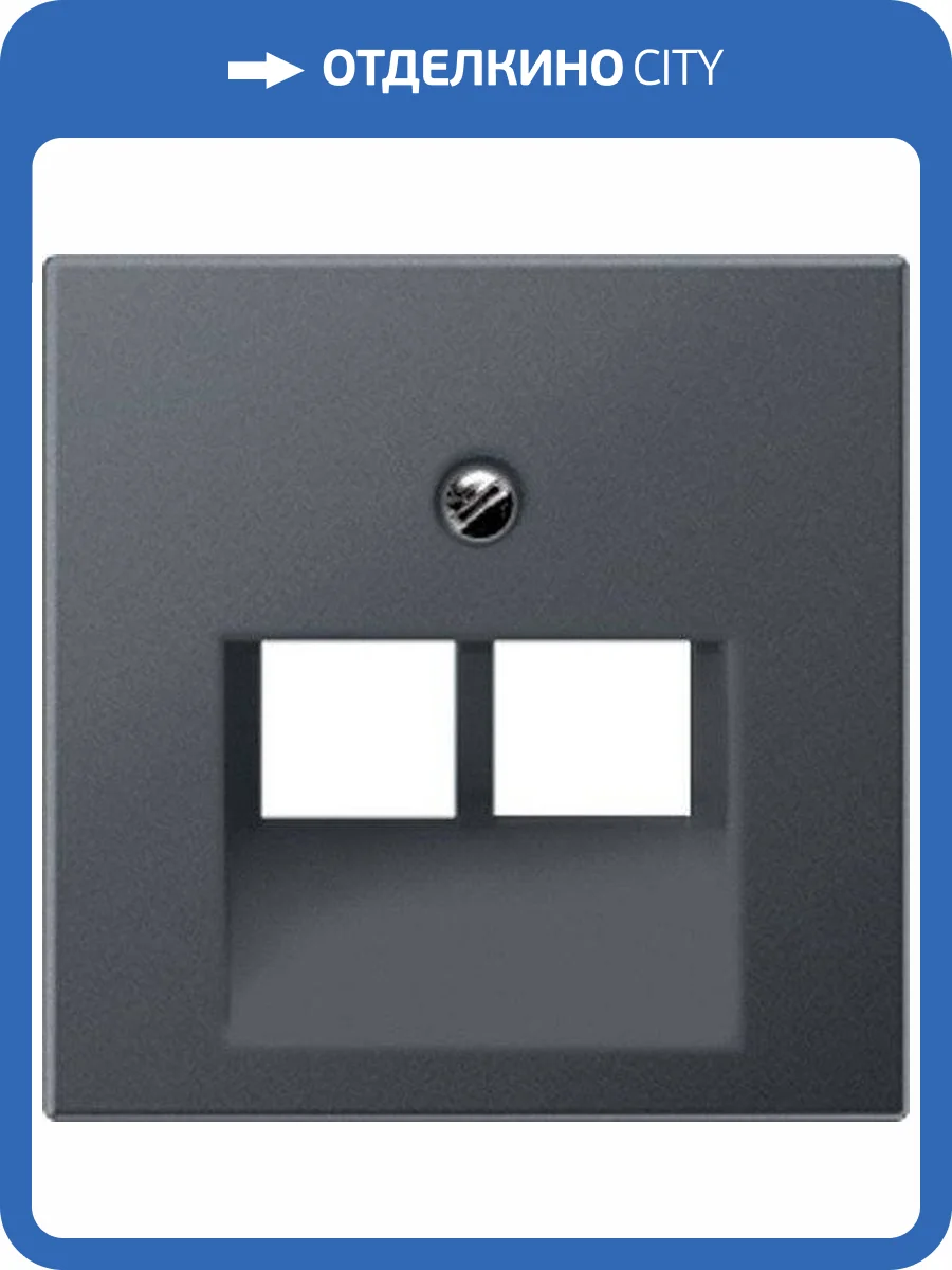 Лицевая панель Jung розетки RJ45 и RJ11 наклонная EP569-2BFPLUAAN фото 2