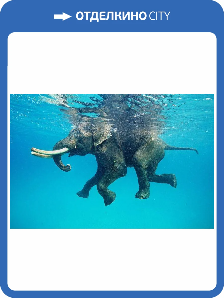 3D Фотообои Artegrafico «Купающийся слон» Det270 песок фото 2