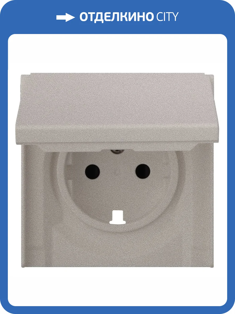 Лицевая панель для розетки 2к+з с крышкой Rikett 35634 PL платина фото 2
