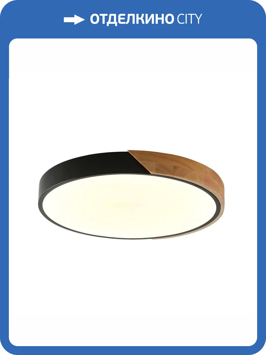 Потолочный светильник Zortes ALBERRO ZRS.01287.72 фото 6