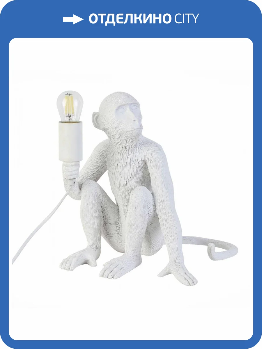 Настольная лампа Evoluce Tenato SLE115104-01 фото 5