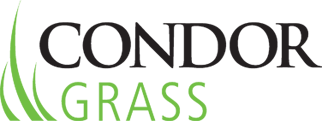 Condor Grass