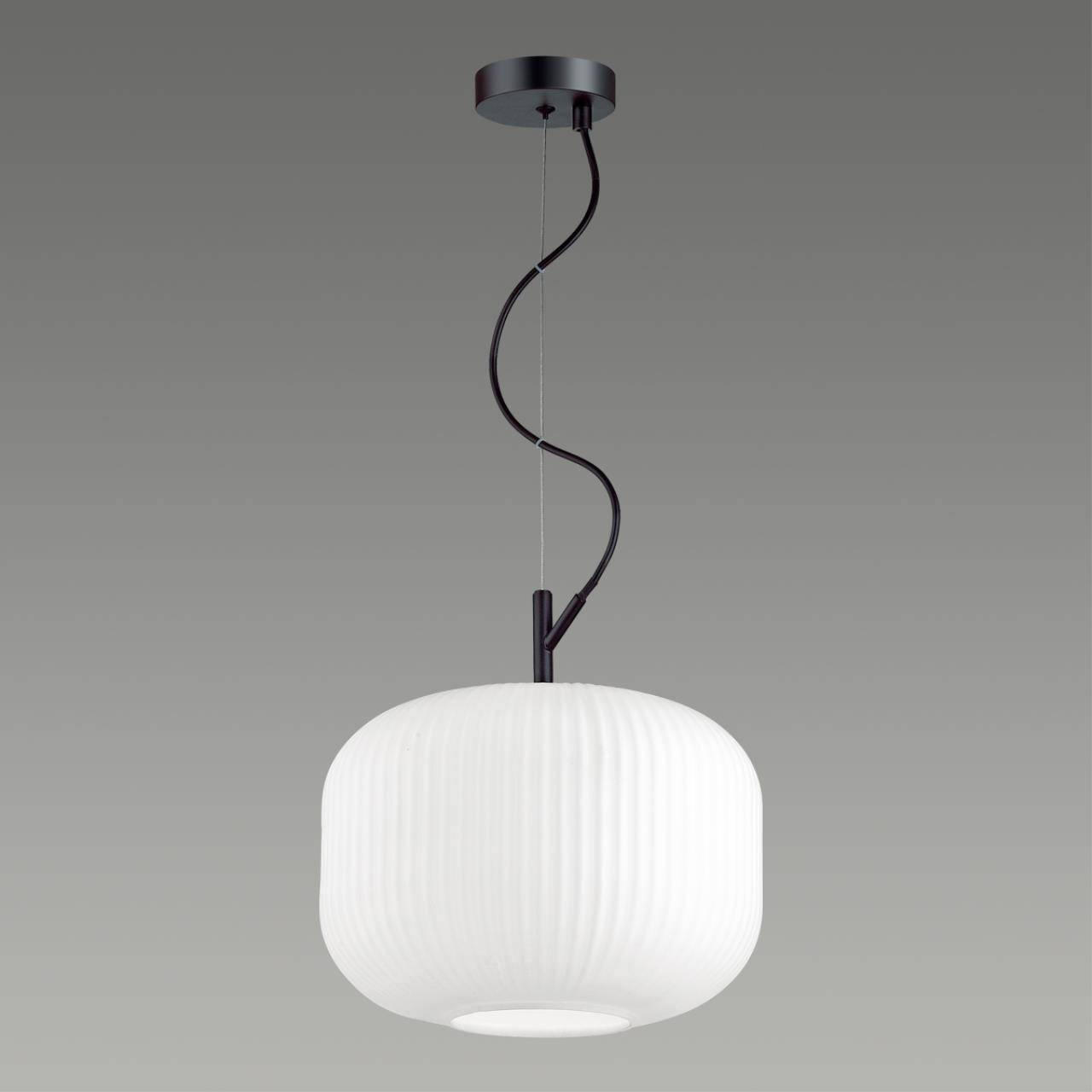 Подвесной светильник Odeon Light Pendant Roofi 4754/1 фото 2