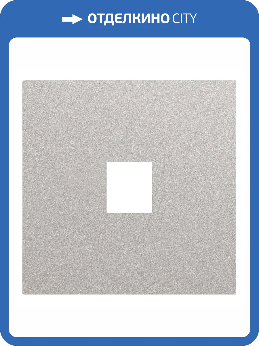 Лицевая панель для одиночной информационной розетки Rikett 35441 PL платина фото 2
