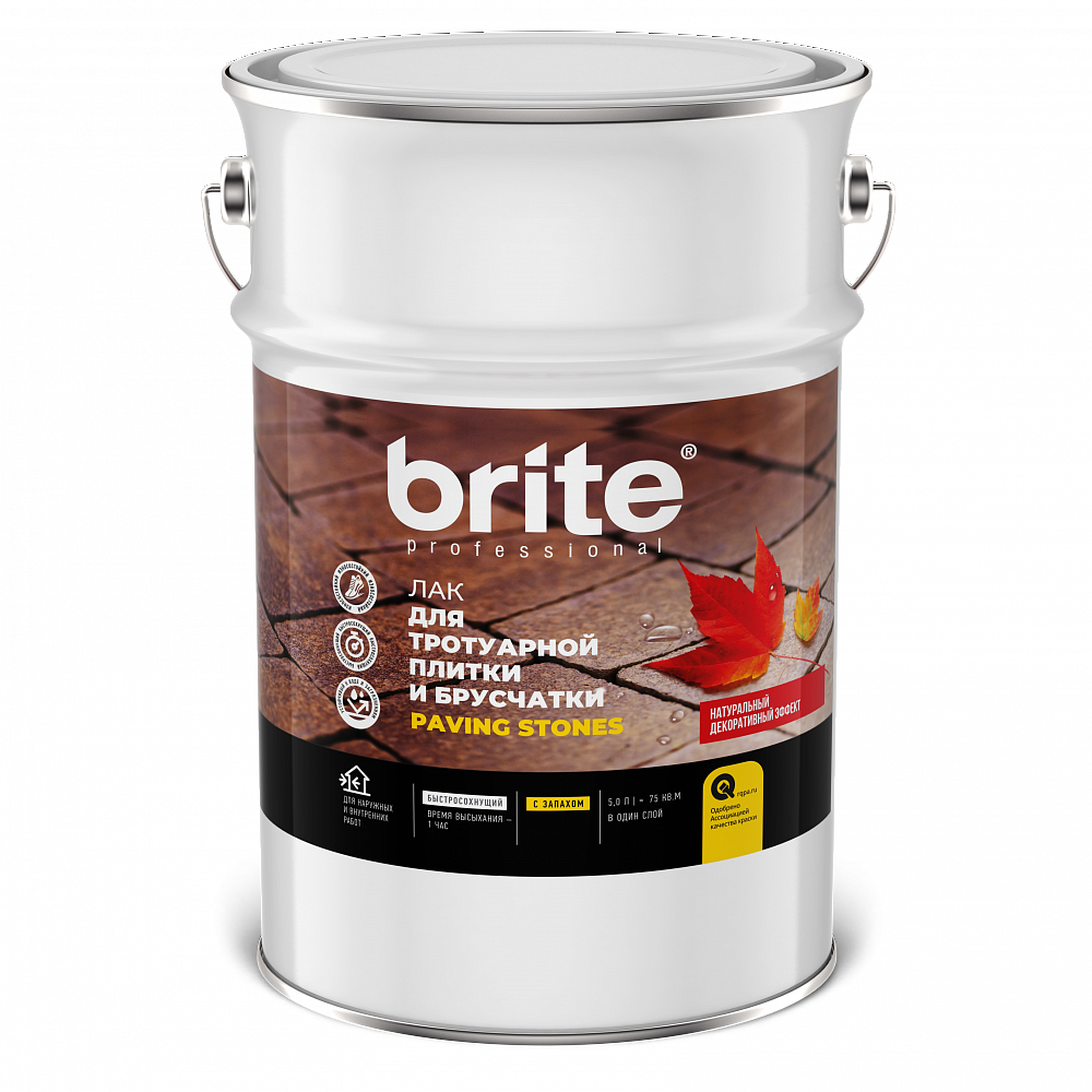 Лак для тротуарной плитки и брусчатки Brite Professional бесцветный 5 л