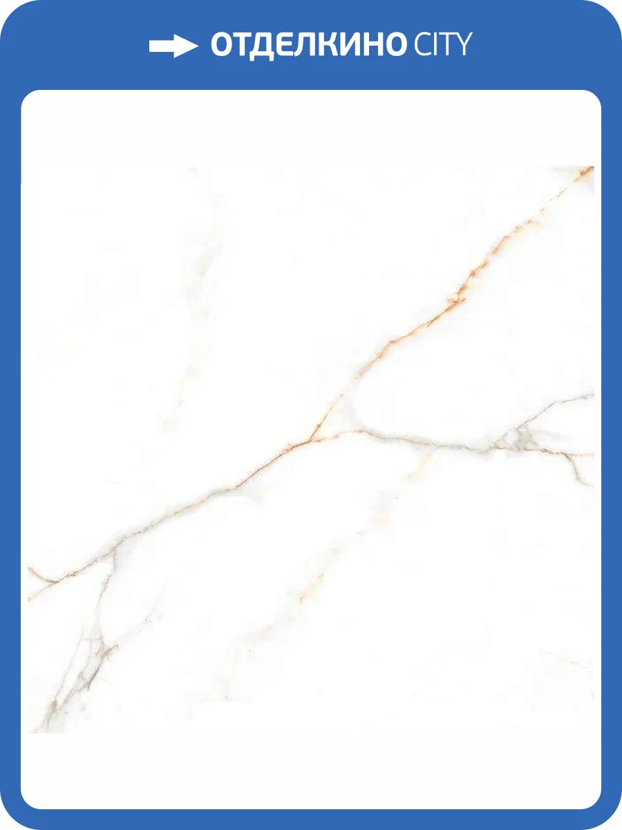 Керамогранит Belleza Austrain Natural Glossy 60x60 фото 2