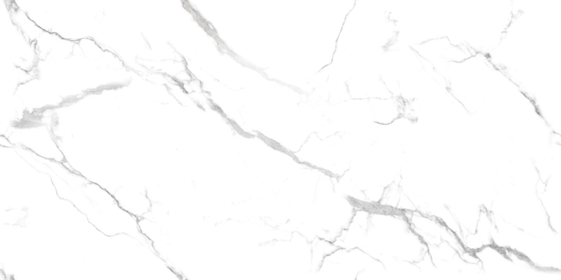 Керамогранит Gravita Urban Marble Белый Glossy 60x120 фото 4