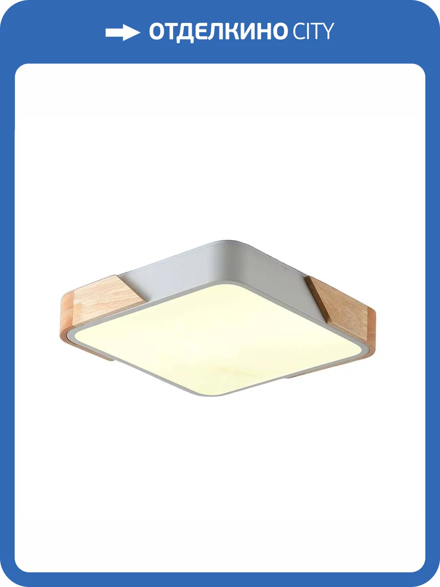 Потолочный светильник Zortes ALBERRO ZRS.01285.60 фото 6