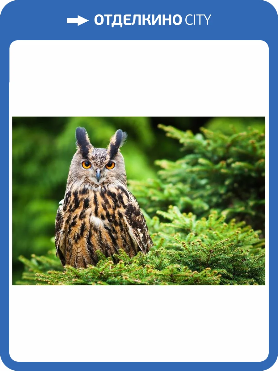 3D Фотообои Artegrafico «Филин на елке» WILD-028 акварель фото 2