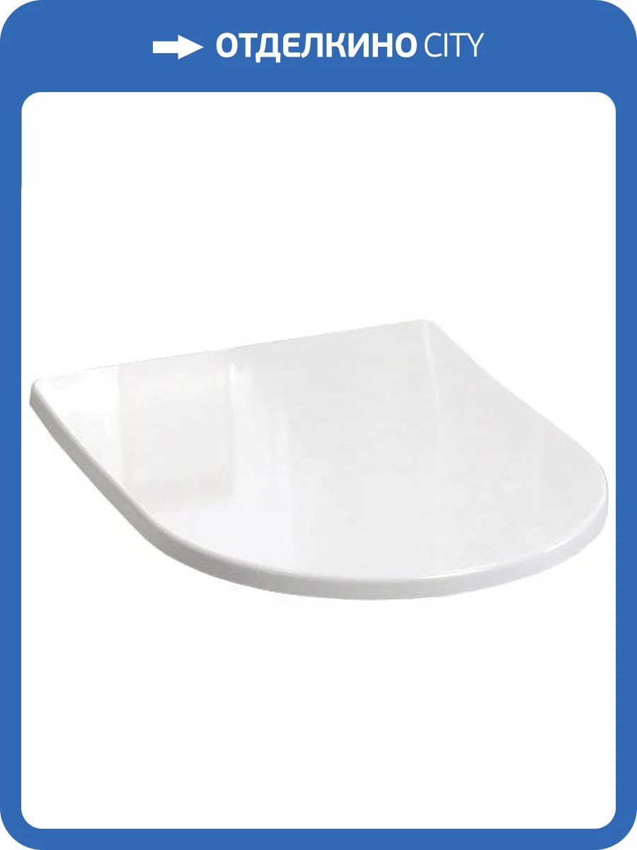 Крышка-сиденье BelBagno BB2031SC с микролифтом, петли хром фото 11