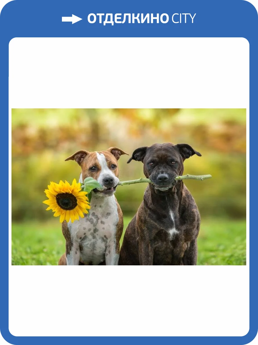 3D Фотообои Artegrafico «Псы с подсолнухом» WILD-020 песок фото 2