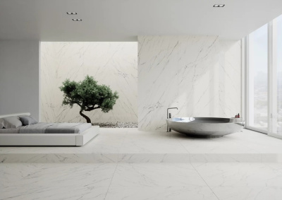 Paradyz Elite