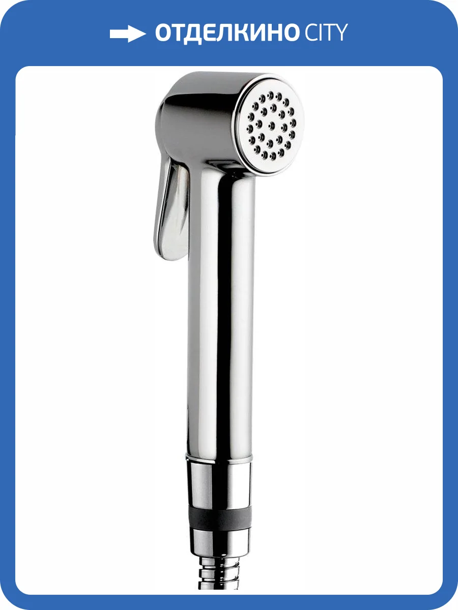 Гигиенический душ Bossini Paloma B00470.030 Brass, хром фото 3