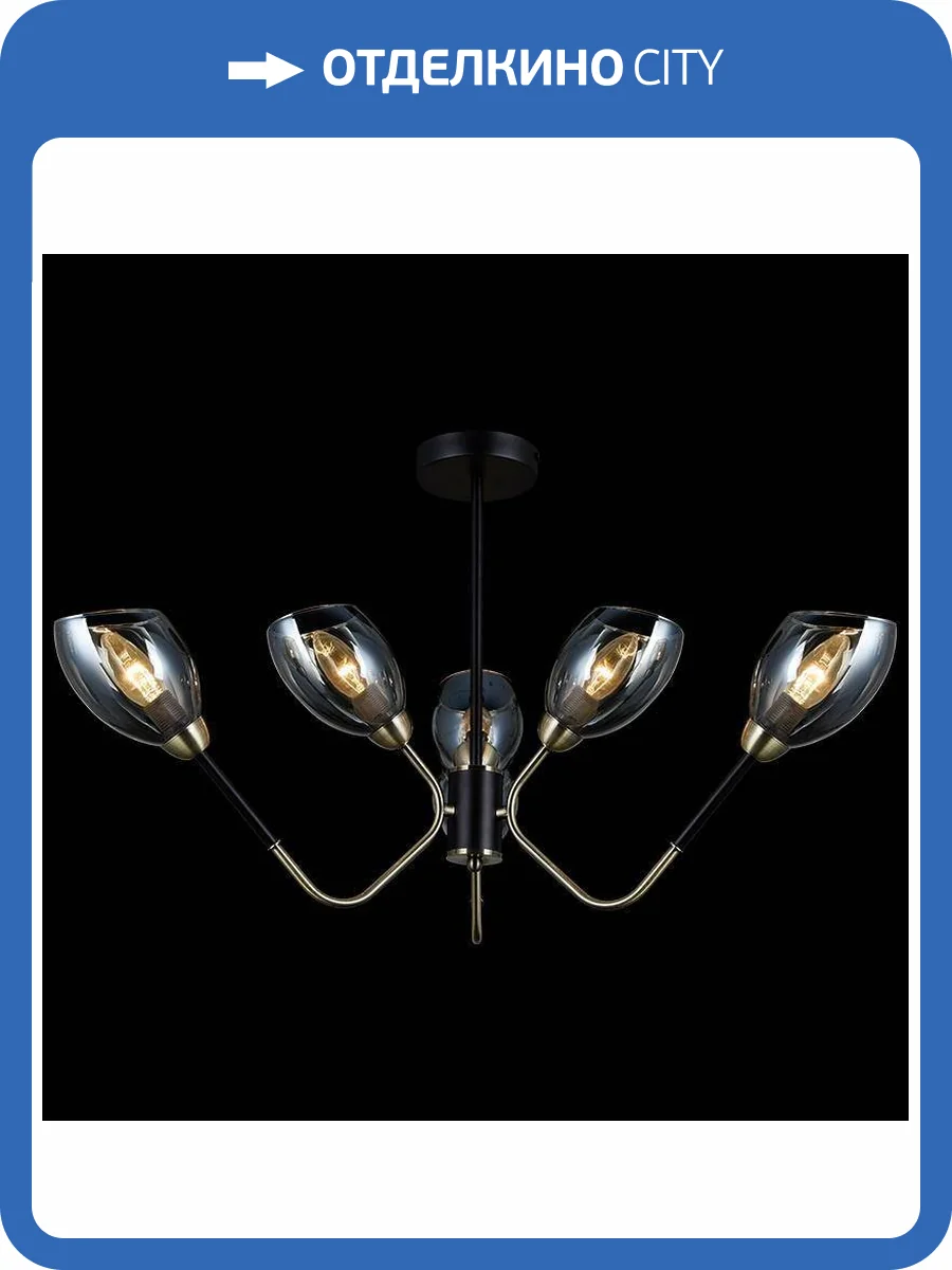 Потолочная люстра Illumico IL9960-6CSQ-79 BK AB фото 2