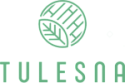 Tulesna