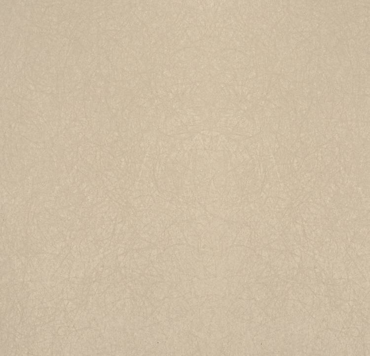 Обои флизелиновые Bernardo Bartalucci Legend 5068-21