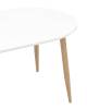 Стол обеденный Stool Group Берген DT-95-120 DUAL белый 120(180)x80x75 фото 7