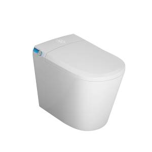 Унитаз приставной Grossman Smart GR-PR-5702 с функцией биде, сиденье микролифт, белый