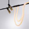 Подвесной светодиодный светильник Arte Lamp Klimt A2850SP-45BK фото 3