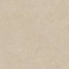 Керамогранит Lasselsberger Ceramics Полдень 6461-0419 бежевый 60х60 фото 6