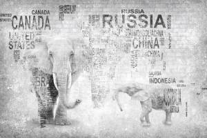 3D Фотообои Artegrafico «Карта из слов в стиле лофт» PD-055 акварель