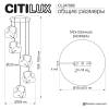 Подвесной светильник Citilux Rocka CL247085 фото 14