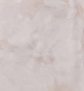 Обои Cassanie Felice DF20440