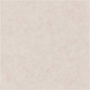 Обои Caselio Beton 101481693