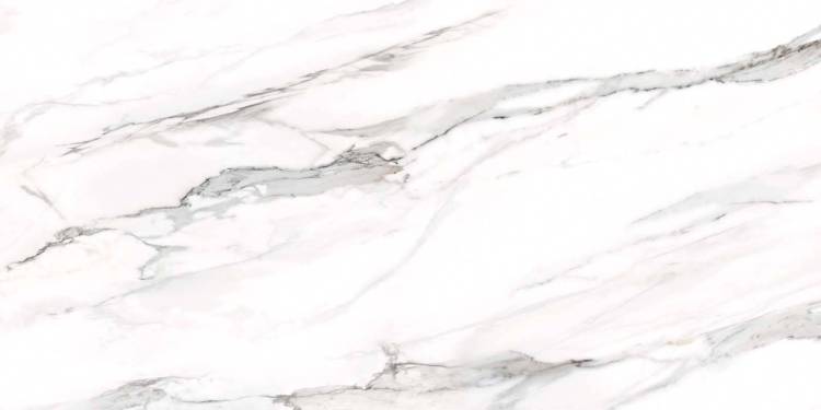 Керамогранит Delacora Omega D12053M Silver 60x120