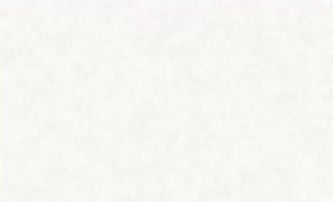 Обои Erismann Anika 6189-2