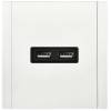 Розетка USB type A+A IEK Forte&Piano FP-U21-D31-M-K01 белый фото 5
