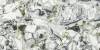 Керамогранит Atlas Concorde Russia Forte dei Marmi Quark 610010002960 Ceppo Apuano Forest Matt Rett 80x160