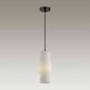 Подвесной светильник Odeon Light Pasti 4966/1 фото 2