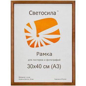 Фоторамка Светосила Б0031008 (30х40 см)