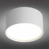 Потолочный светодиодный светильник Omnilux Salentino OML-100909-12 фото 2