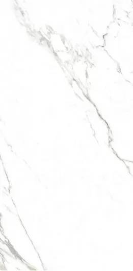 Керамогранит Rondine Group RHS Canova J88474 Statuario Rett 60x120