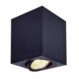 Накладной светильник Citilux Дюрен CL538213 Черный