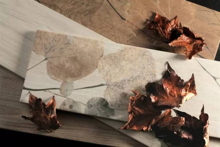 Del Conca Foreste D'Italia